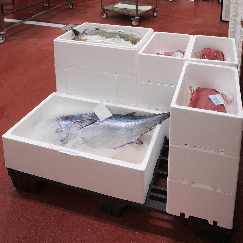 Cajas ligeras para la manipulación y transporte de pescado fresco