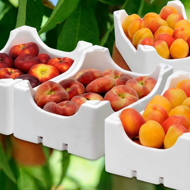 Envases alimentarios para productos agro o frescos