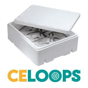 celoops