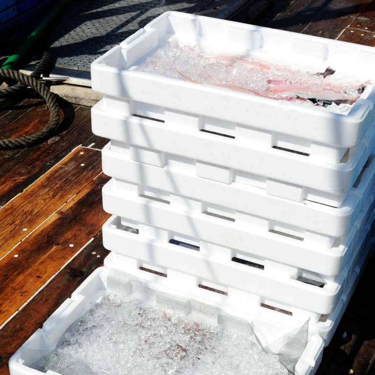 Normativa para transporte para pescado