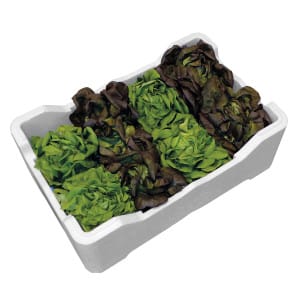 cajas de poliestireno expandido para productos agro