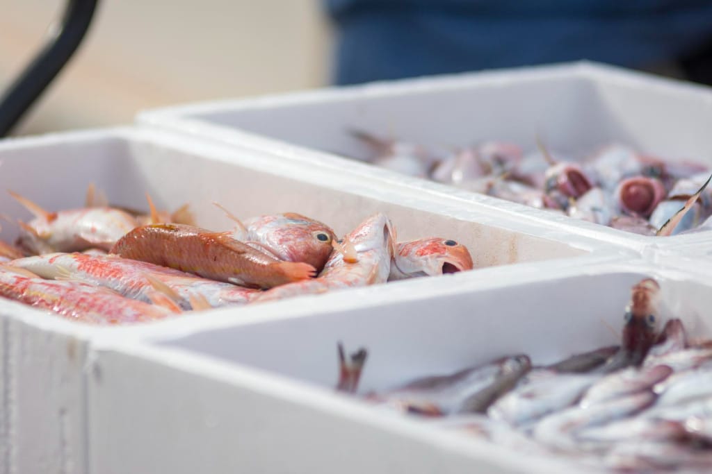 Envases para pescado fabricados en poliestireno expandido