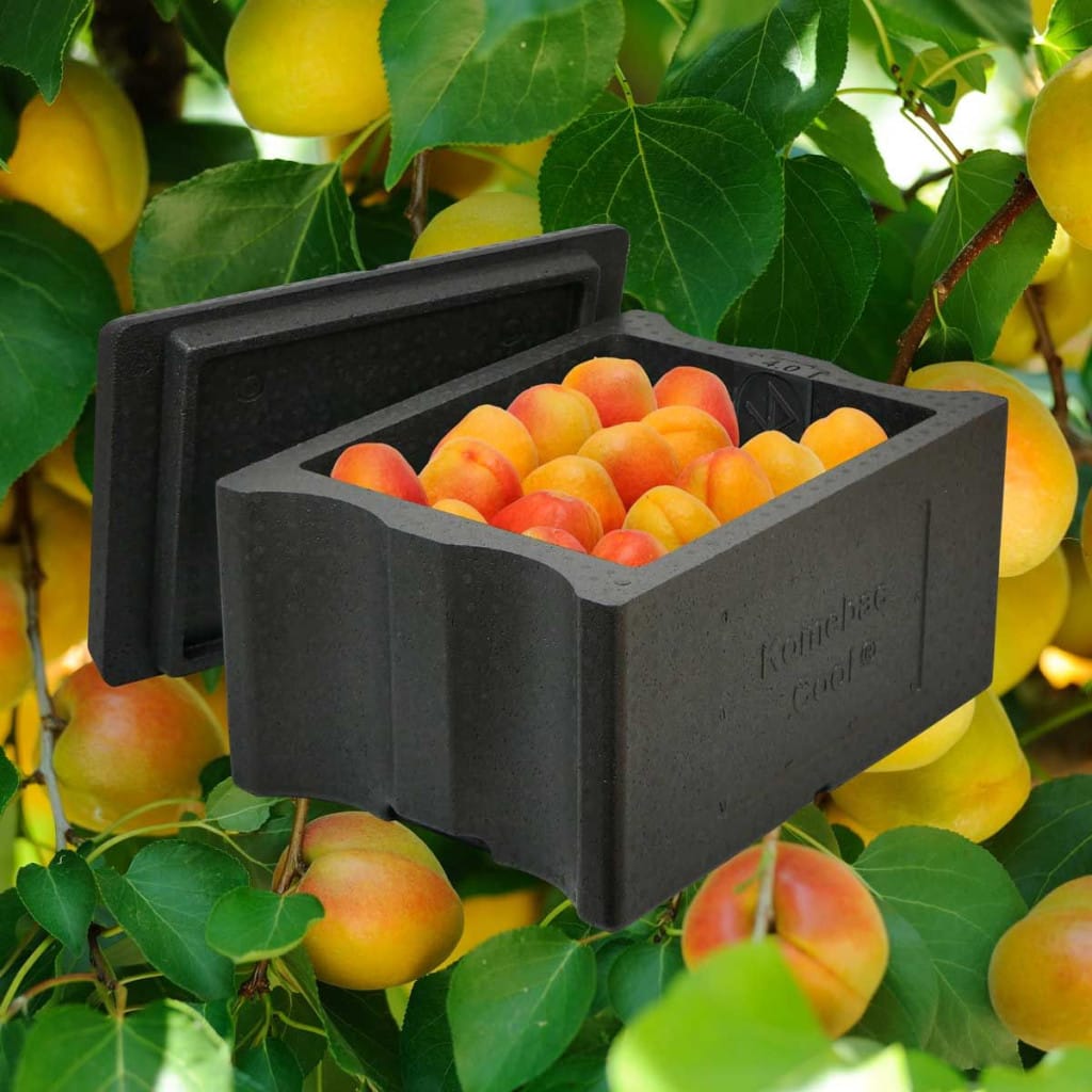 Envases de EPP retornables para agricultura: caja Harvest