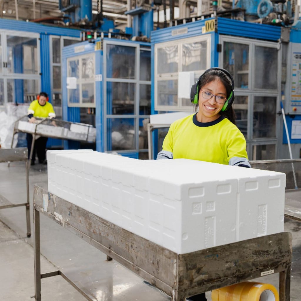 Cajas para pescado y productos agro fabricadas en EPS o NEOPS
