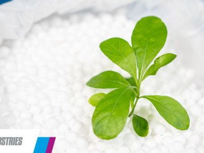 60100ec4a673c413054f2808