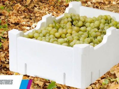 Alargar la vida de la fruta con envases EPS, la propuesta de Knauf Industries en Postcosecha
