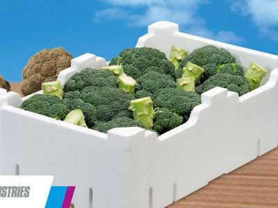 Conserva las verduras intactas más tiempo y evita el desperdicio alimentario