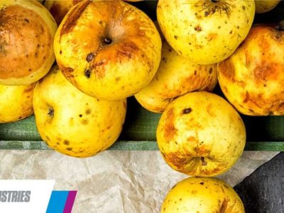 Packaging contra el desperdicio alimentario: cajas de fruta EPS para proteger los productos