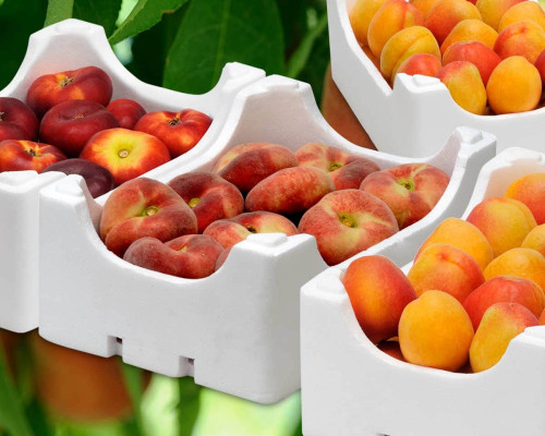 diseño de envases eps y epp para productos agrícolas