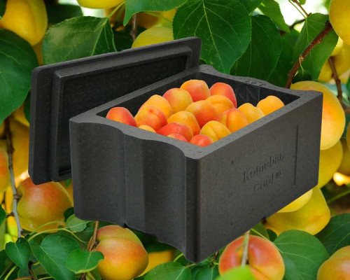 Envases de EPP retornables para agricultura: caja Harvest