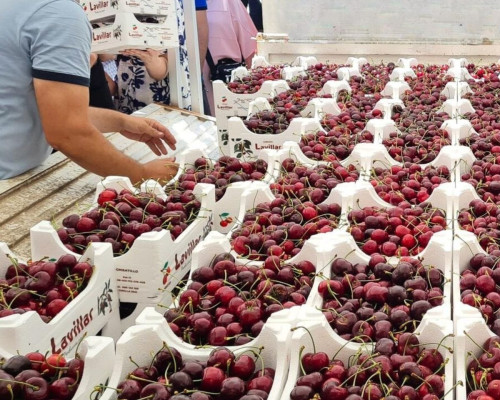 envases para agricultura