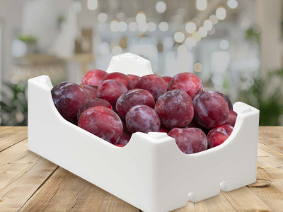 envases-para-ciruelas Envases para ciruelas: prolongar la vida útil de la fruta