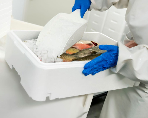 Envases de plástico reciclados para pescado y marisco