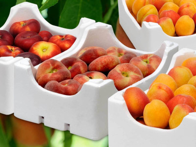 envases-alimentarios-productos-agro-frescos Envases alimentarios para productos agro o frescos
