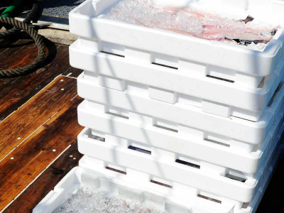 normativa-transporte-de-pescado Normativa para transporte para pescado