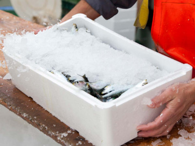 plastico-reciclado-envase-de-pescado Plástico reciclado para envases de pescado, conoce CELOOPS