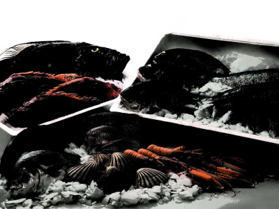 poliespán o poliestireno expandido reciclable y ecológico