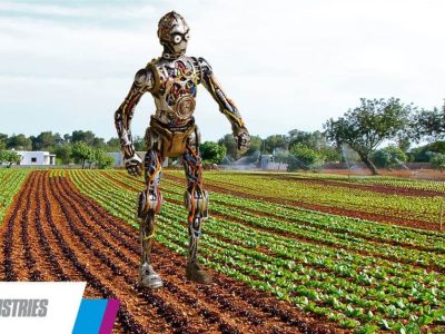 El robot que recoge lechugas