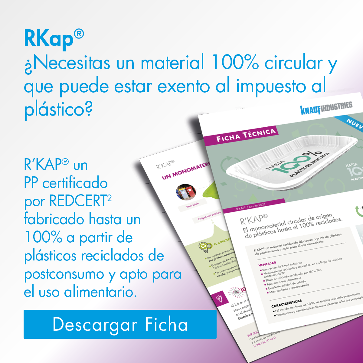 Ficha Rkap PP reciclado quimico