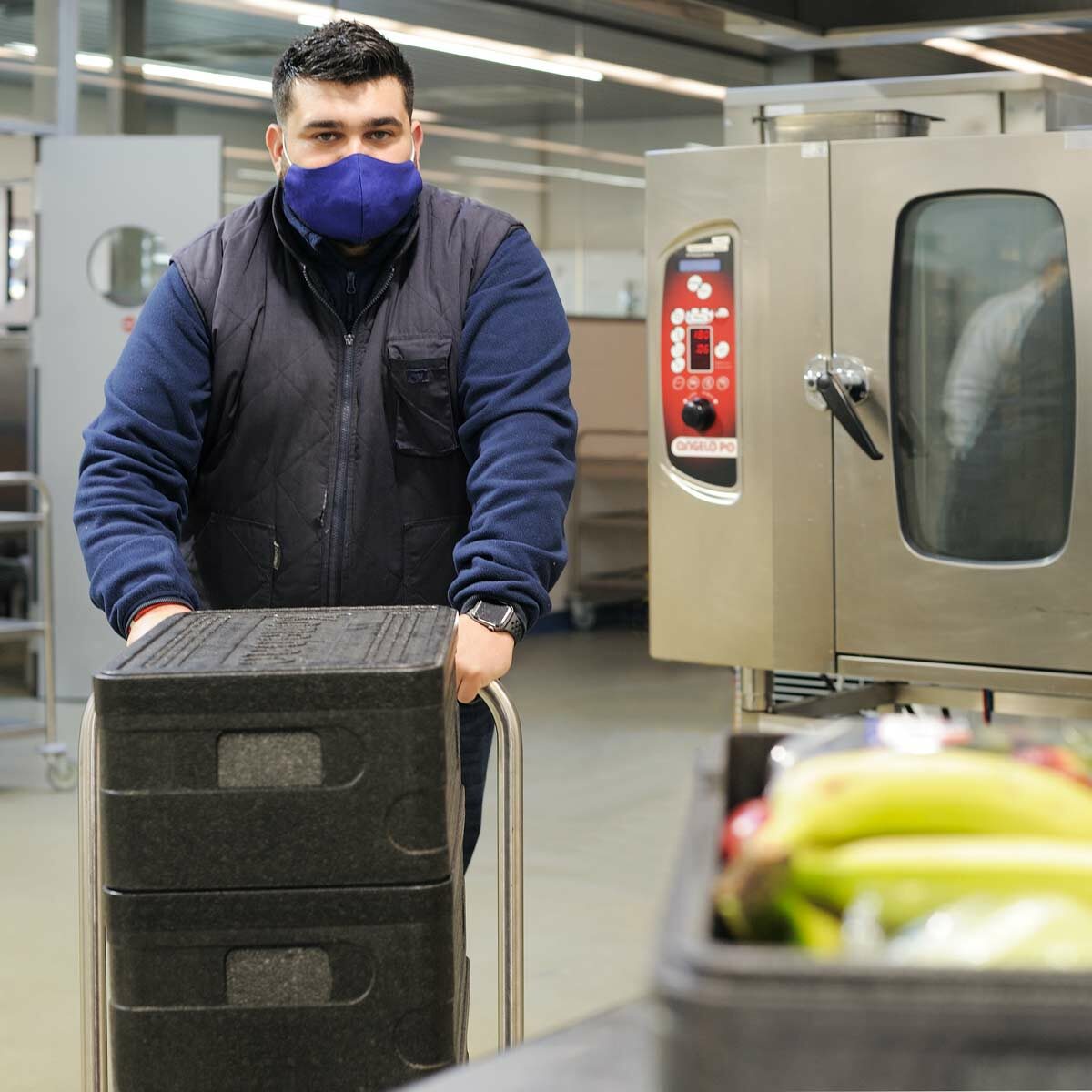 contenedores isotérmicos